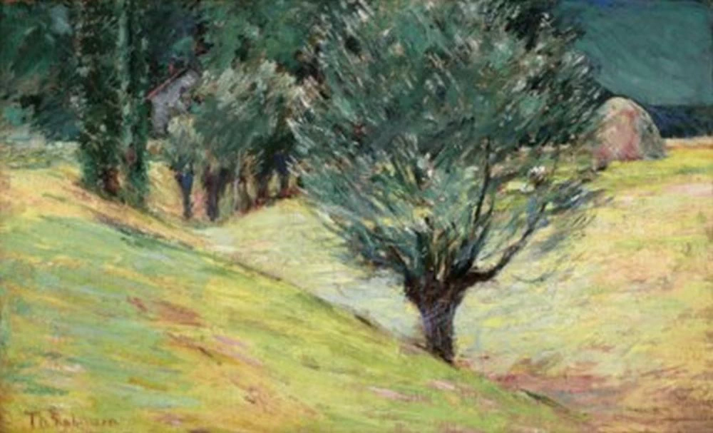 Ai margini della foresta